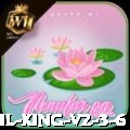 cc999 Brasil King v2.3.6